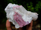Natural Pink Rubellite Tourmaline Specimens x 2 From Karibib, Namibia - Toprock Gemstones and Minerals 