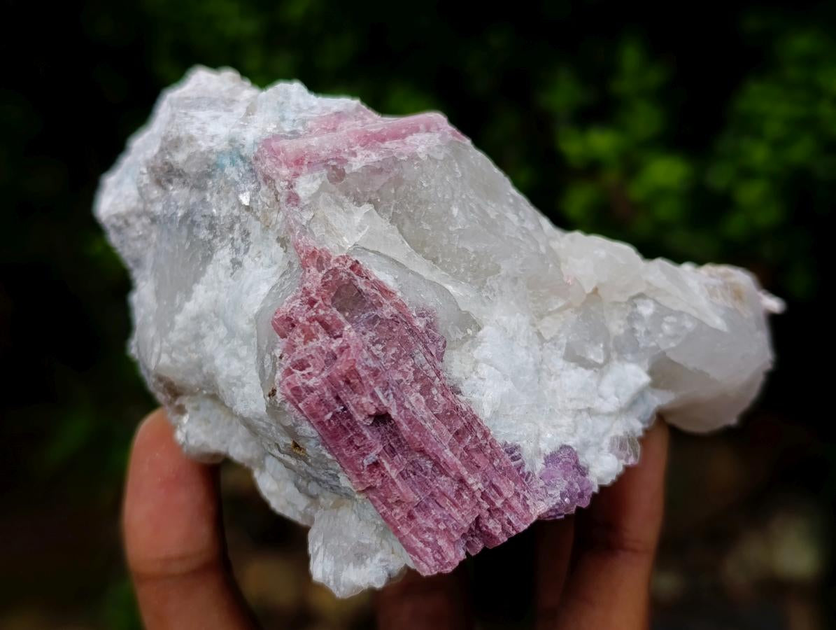 Natural Pink Rubellite Tourmaline Specimens x 2 From Karibib, Namibia - Toprock Gemstones and Minerals 