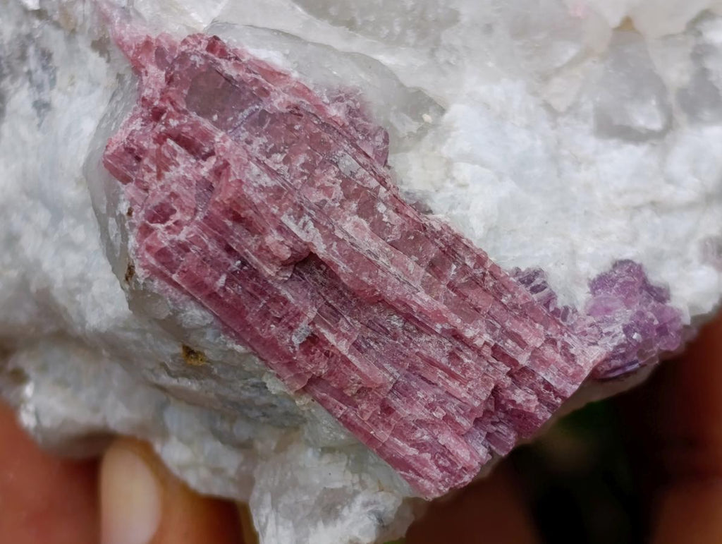 Natural Pink Rubellite Tourmaline Specimens x 2 From Karibib, Namibia - Toprock Gemstones and Minerals 