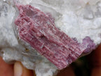 Natural Pink Rubellite Tourmaline Specimens x 2 From Karibib, Namibia - Toprock Gemstones and Minerals 
