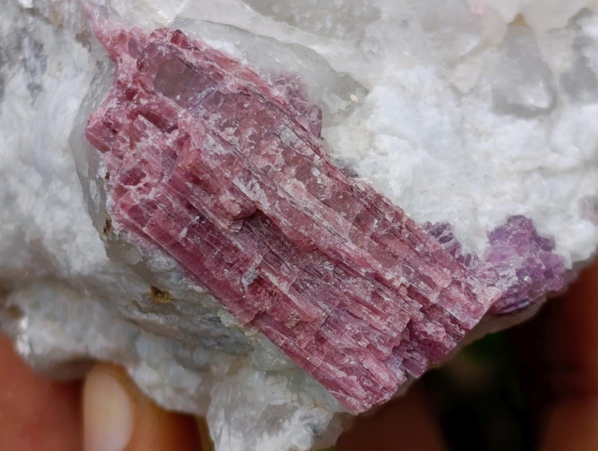 Natural Pink Rubellite Tourmaline Specimens x 2 From Karibib, Namibia - Toprock Gemstones and Minerals 