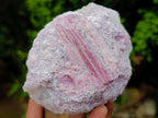 Natural Pink Rubellite Tourmaline Specimens x 2 From Karibib, Namibia - Toprock Gemstones and Minerals 