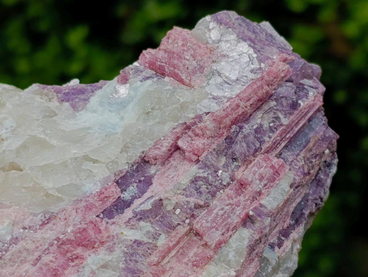 Natural Pink Rubellite Tourmaline Specimens x 2 From Karibib, Namibia - Toprock Gemstones and Minerals 