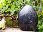 Polished Black Tourmaline Standing Display Pieces x 2 From Madagascar - Toprock Gemstones and Minerals 