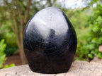 Polished Black Tourmaline Standing Display Pieces x 2 From Madagascar - Toprock Gemstones and Minerals 