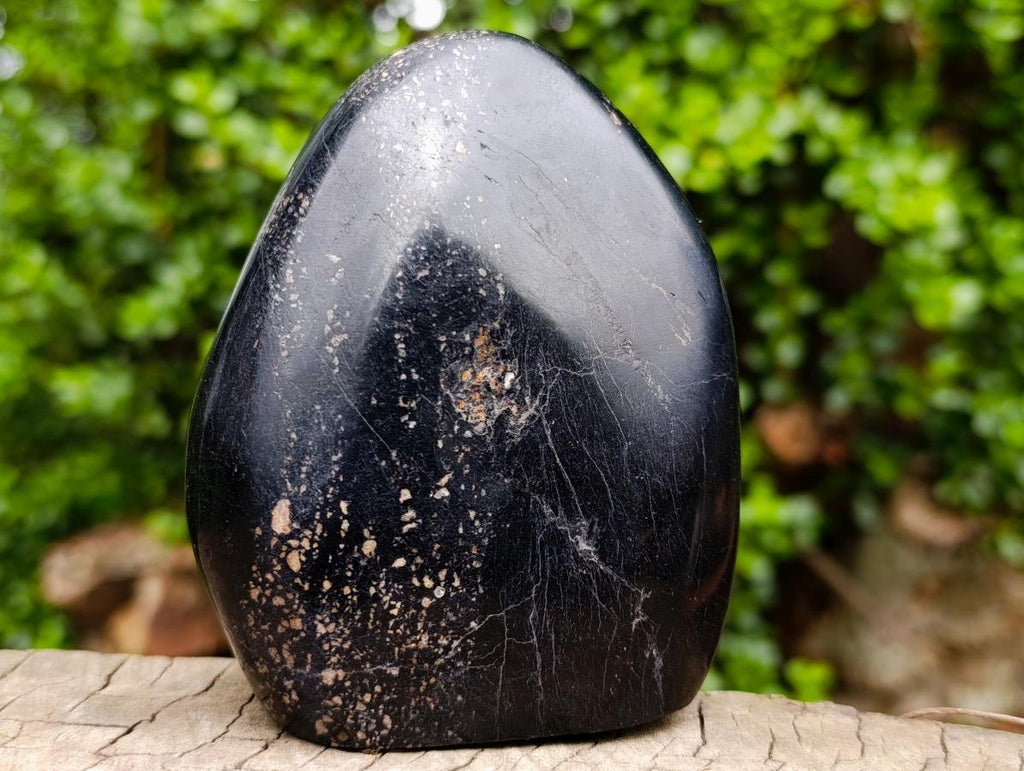 Polished Black Tourmaline Standing Display Pieces x 2 From Madagascar - Toprock Gemstones and Minerals 