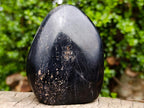 Polished Black Tourmaline Standing Display Pieces x 2 From Madagascar - Toprock Gemstones and Minerals 