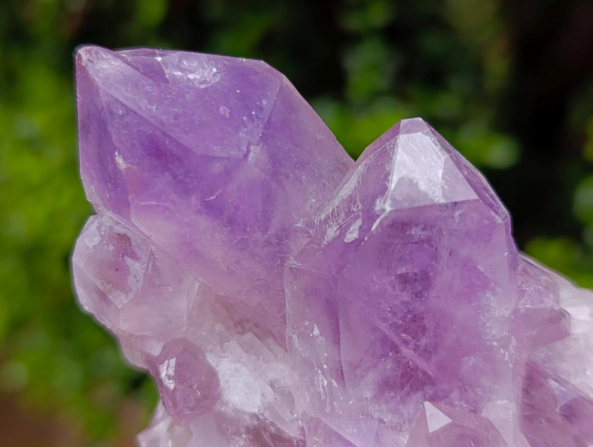 Natural Jacaranda Amethyst Clusters x 3 From Mumbwa, Zambia