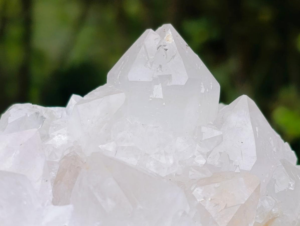 Natural Mixed Cactus Flower Spirit Quartz Clusters x 3 From Boekenhouthoek, South Africa - Toprock Gemstones and Minerals 