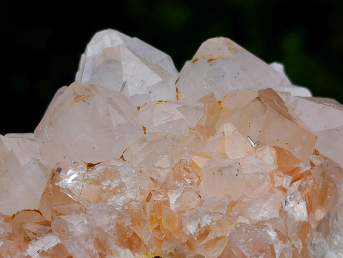 Natural Mixed Cactus Flower Spirit Quartz Clusters x 3 From Boekenhouthoek, South Africa - Toprock Gemstones and Minerals 