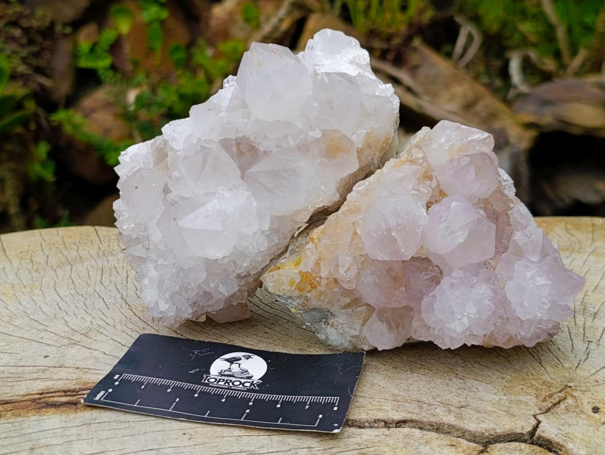Natural Mixed Cactus Flower Spirit Quartz Clusters x 3 From Boekenhouthoek, South Africa - Toprock Gemstones and Minerals 