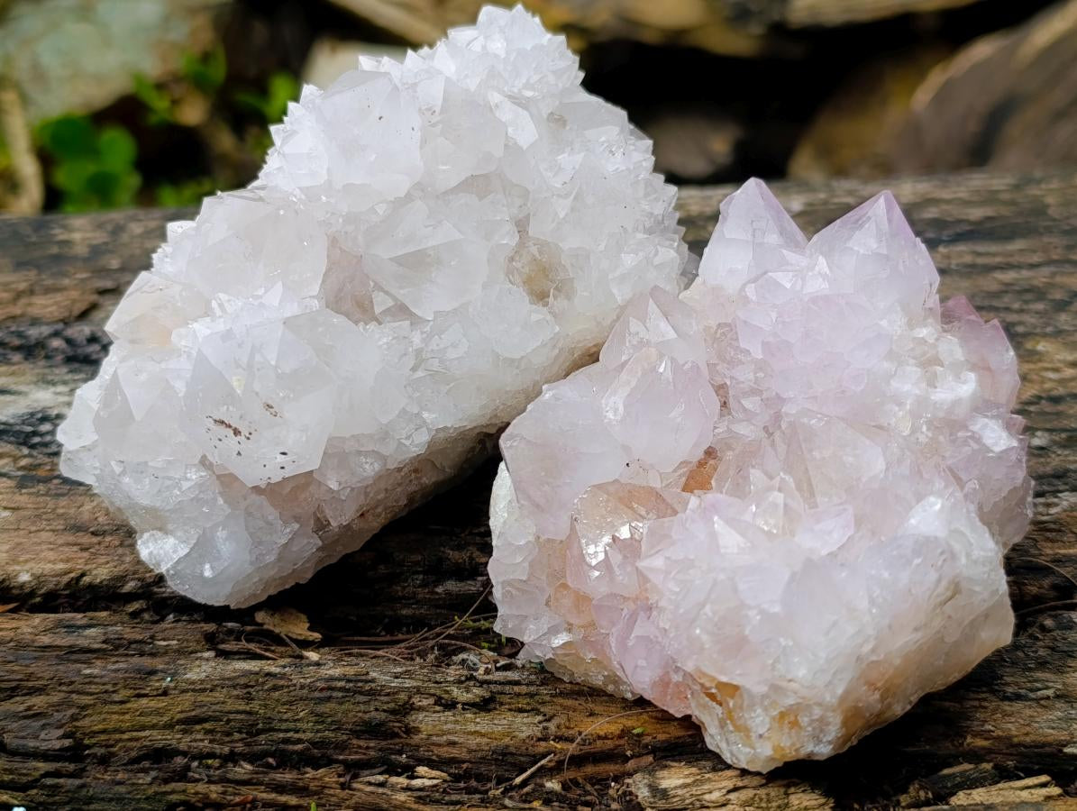 Natural Mixed Cactus Flower Spirit Quartz Clusters x 3 From Boekenhouthoek, South Africa - Toprock Gemstones and Minerals 