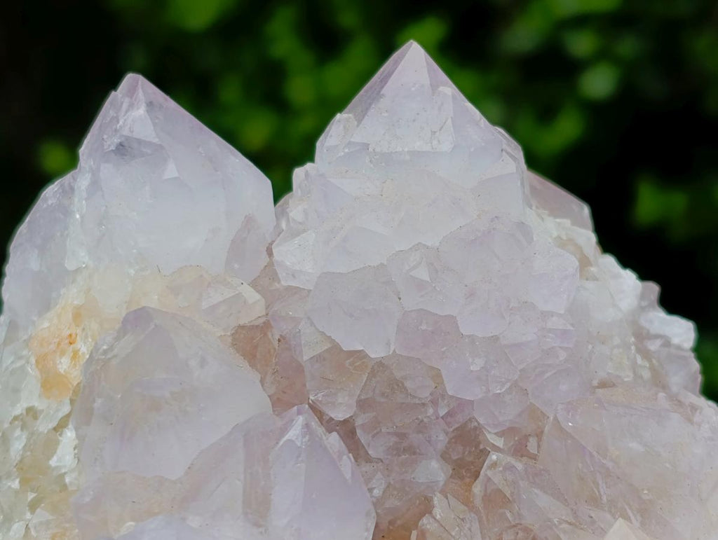 Natural Mixed Cactus Flower Spirit Quartz Clusters x 3 From Boekenhouthoek, South Africa - Toprock Gemstones and Minerals 