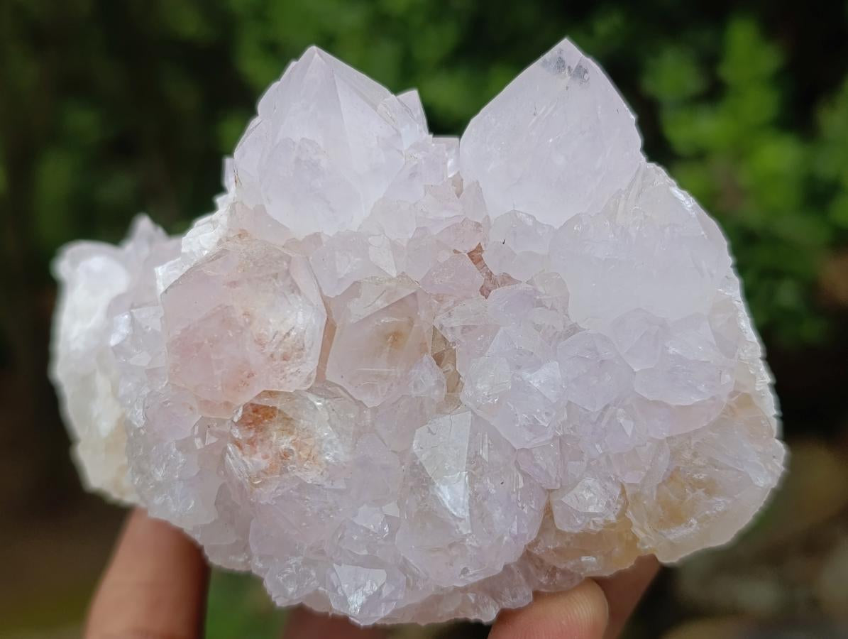 Natural Mixed Cactus Flower Spirit Quartz Clusters x 3 From Boekenhouthoek, South Africa - Toprock Gemstones and Minerals 
