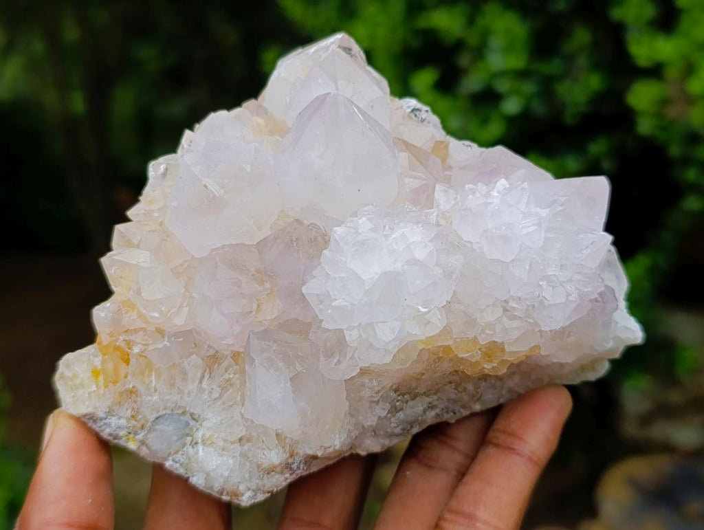 Natural Mixed Cactus Flower Spirit Quartz Clusters x 3 From Boekenhouthoek, South Africa - Toprock Gemstones and Minerals 