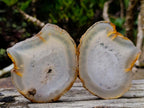 Polished Banded Agate Slices x 24 From Madagascar - Toprock Gemstones and Minerals 