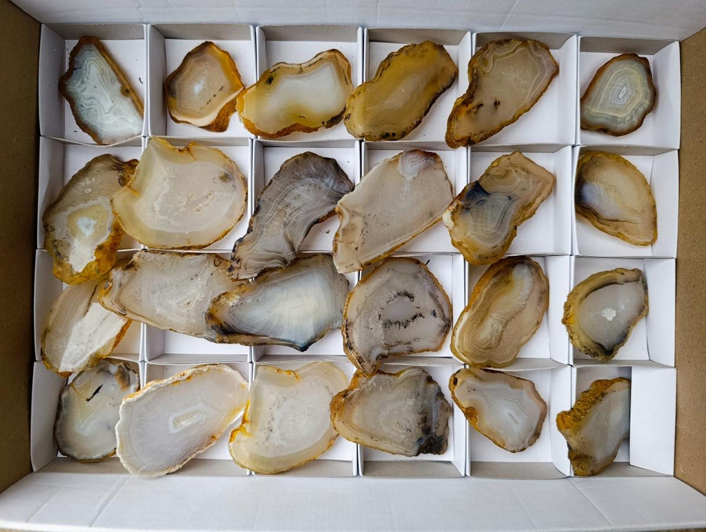 Polished Banded Agate Slices x 24 From Madagascar - Toprock Gemstones and Minerals 