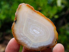 Polished Banded Agate Slices x 24 From Madagascar - Toprock Gemstones and Minerals 