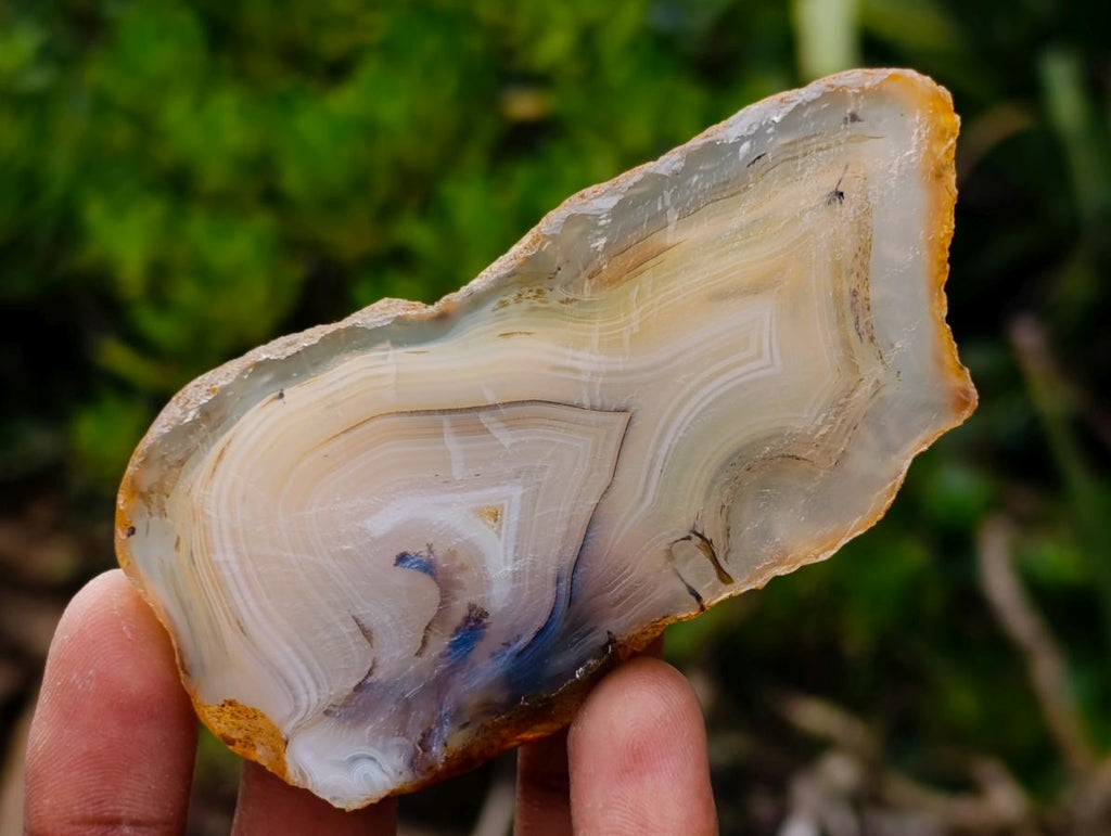 Polished Banded Agate Slices x 24 From Madagascar - Toprock Gemstones and Minerals 