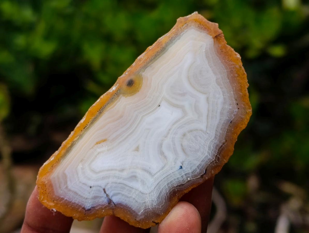 Polished Banded Agate Slices x 24 From Madagascar - Toprock Gemstones and Minerals 