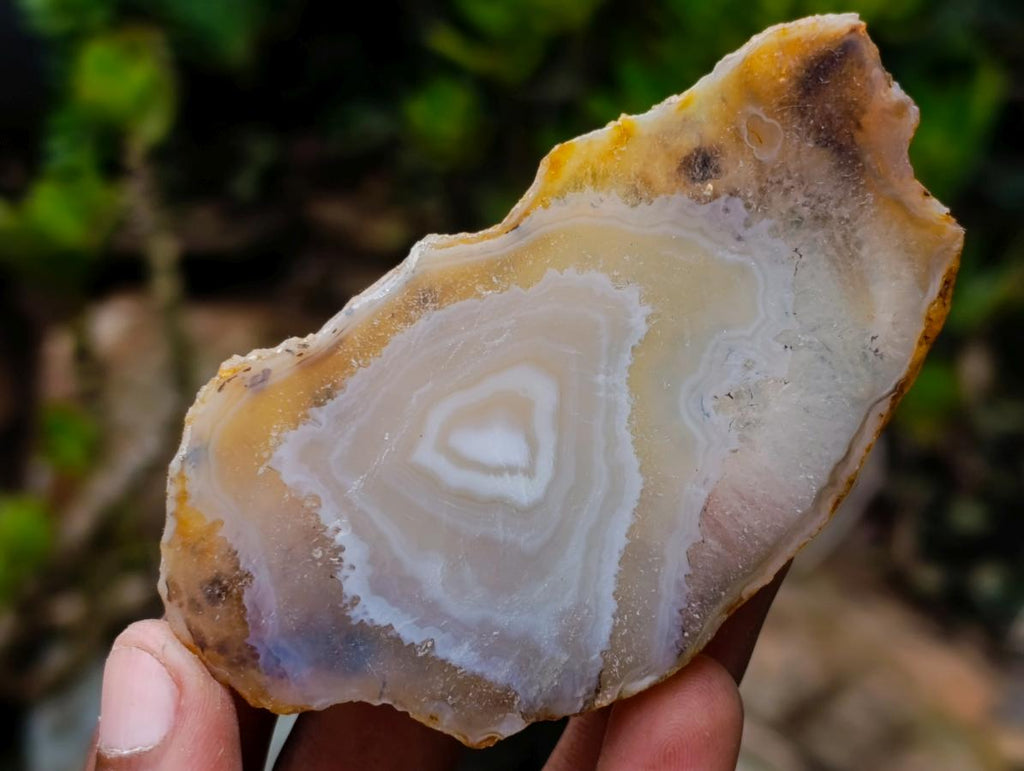 Polished Banded Agate Slices x 24 From Madagascar - Toprock Gemstones and Minerals 