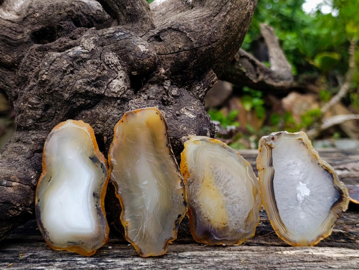 Polished Banded Agate Slices x 24 From Madagascar - Toprock Gemstones and Minerals 