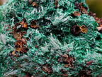 Natural Silky Malachite Specimens x 2 From Kasompe, Congo - Toprock Gemstones and Minerals 