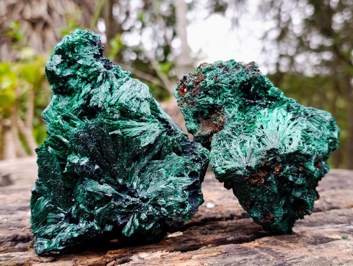 Natural Silky Malachite Specimens x 2 From Kasompe, Congo - Toprock Gemstones and Minerals 