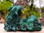 Natural Silky Malachite Specimens x 2 From Kasompe, Congo - Toprock Gemstones and Minerals 