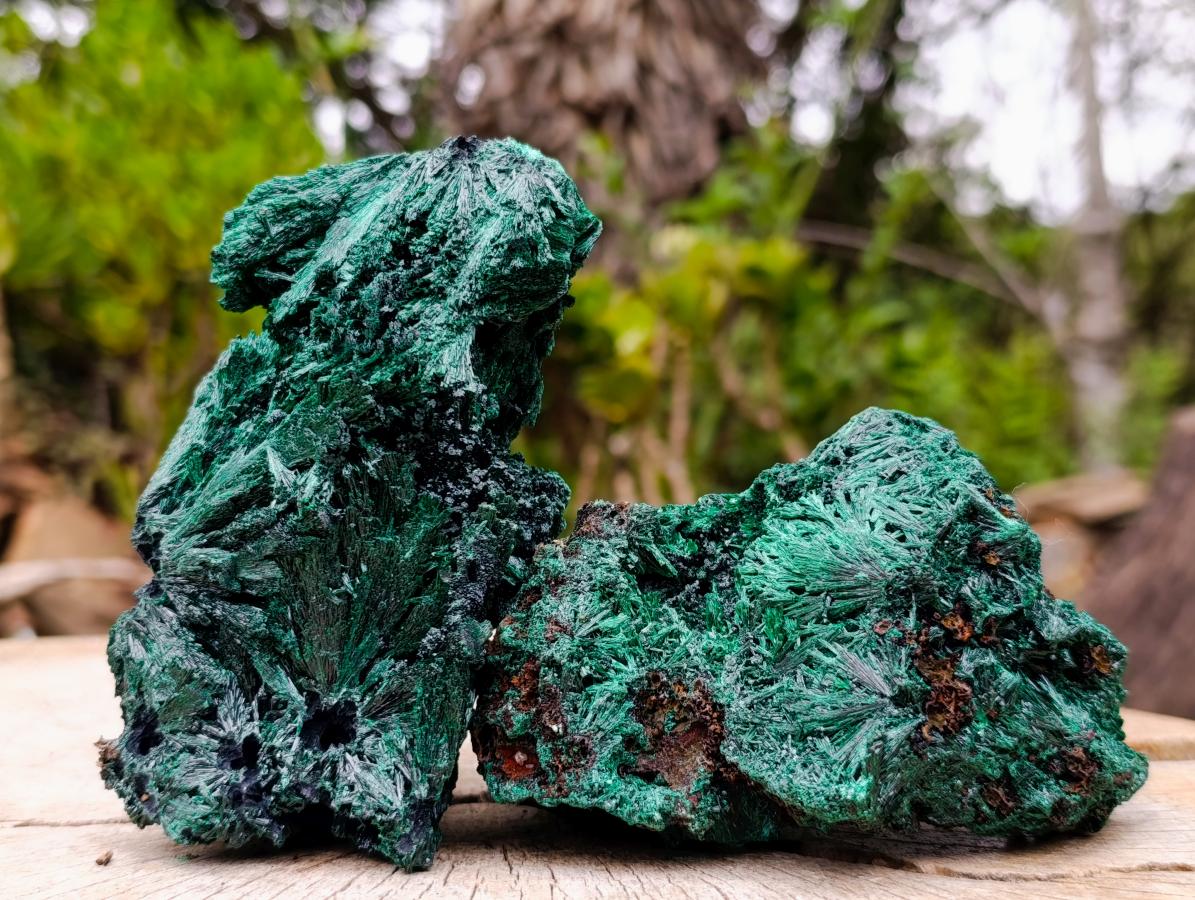 Natural Silky Malachite Specimens x 2 From Kasompe, Congo - Toprock Gemstones and Minerals 