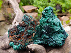 Natural Silky Malachite Specimens x 2 From Kasompe, Congo - Toprock Gemstones and Minerals 