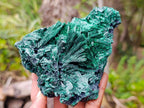 Natural Silky Malachite Specimens x 2 From Kasompe, Congo - Toprock Gemstones and Minerals 