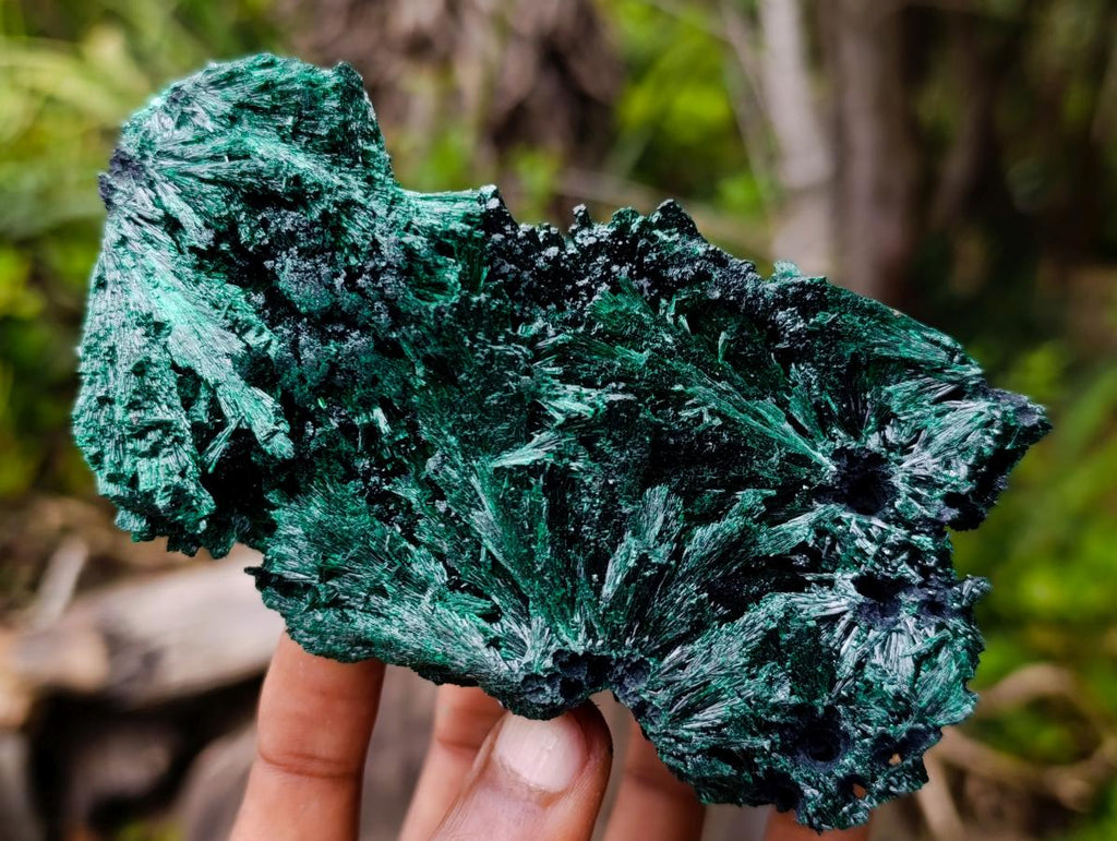 Natural Silky Malachite Specimens x 2 From Kasompe, Congo - Toprock Gemstones and Minerals 