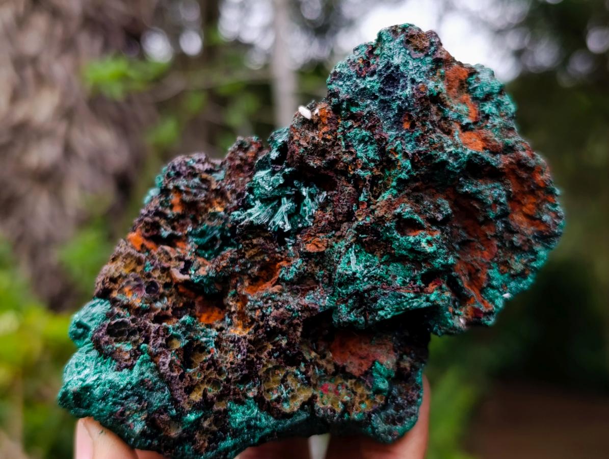 Natural Silky Malachite Specimens x 2 From Kasompe, Congo - Toprock Gemstones and Minerals 