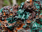 Natural Silky Malachite Specimens x 2 From Kasompe, Congo - Toprock Gemstones and Minerals 