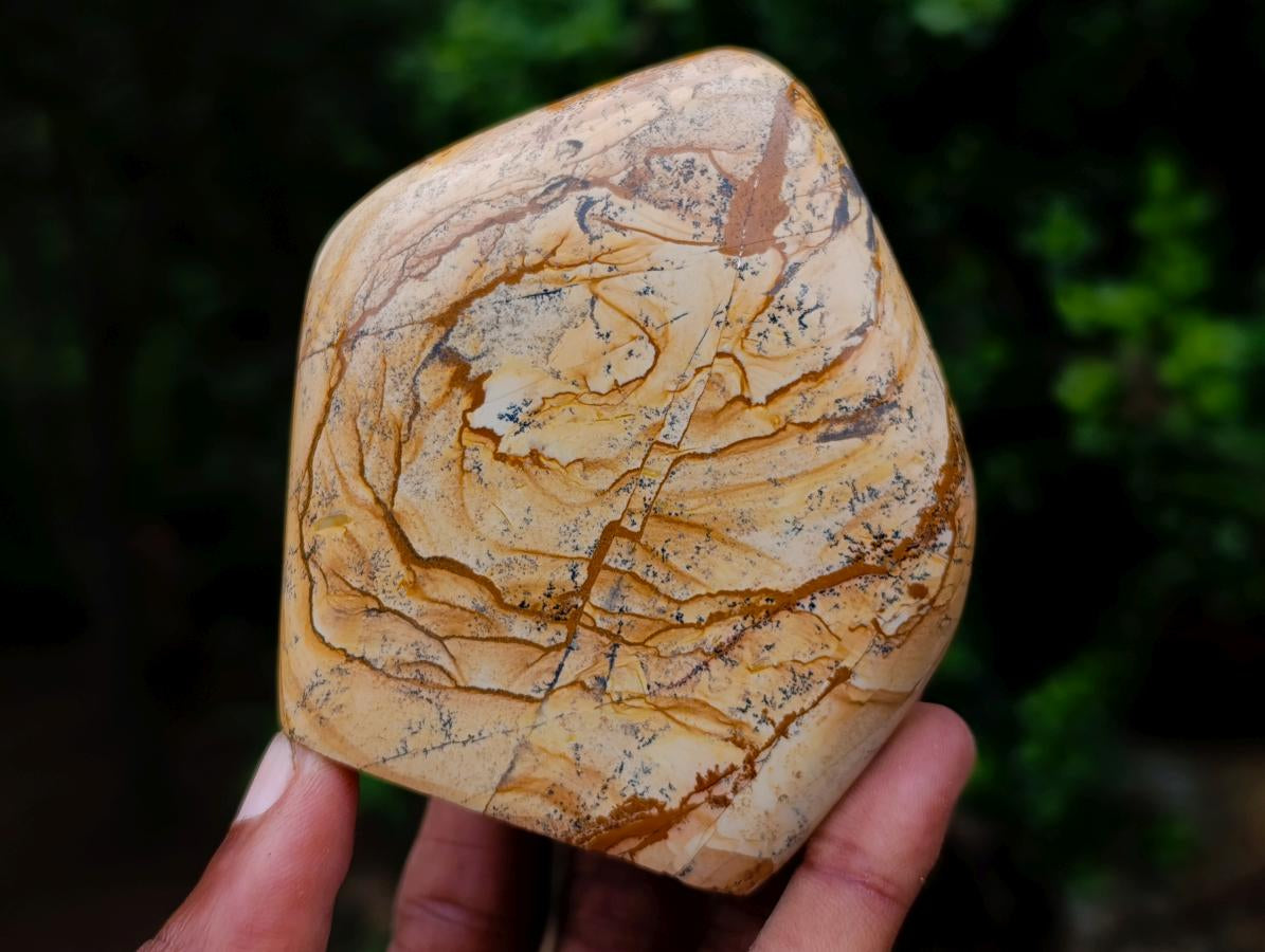 Polished Picture Stone Jasper Standing Display Pieces x 2 From Ais-Ais, Namibia - Toprock Gemstones and Minerals 