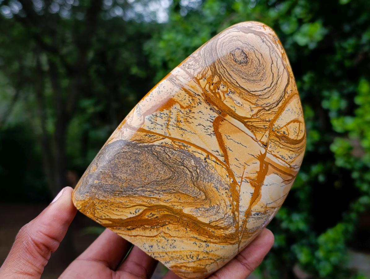 Polished Picture Stone Jasper Standing Display Pieces x 2 From Ais-Ais, Namibia