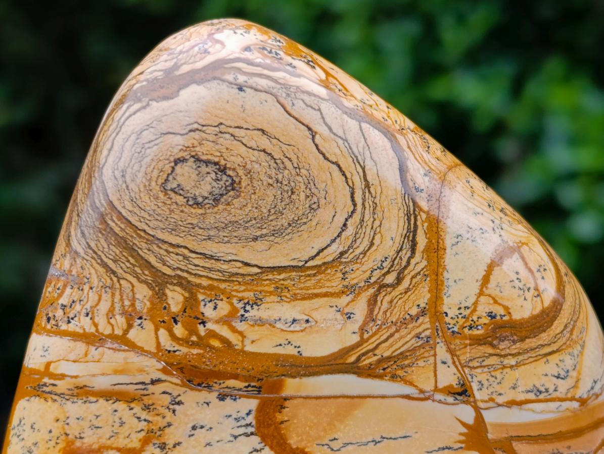 Polished Picture Stone Jasper Standing Display Pieces x 2 From Ais-Ais, Namibia - Toprock Gemstones and Minerals 
