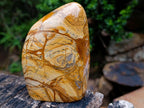 Polished Picture Stone Jasper Standing Display Pieces x 2 From Ais-Ais, Namibia - Toprock Gemstones and Minerals 