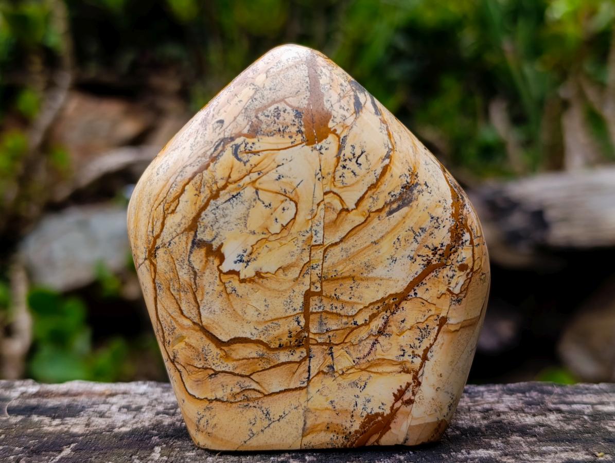 Polished Picture Stone Jasper Standing Display Pieces x 2 From Ais-Ais, Namibia - Toprock Gemstones and Minerals 