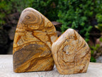 Polished Picture Stone Jasper Standing Display Pieces x 2 From Ais-Ais, Namibia - Toprock Gemstones and Minerals 