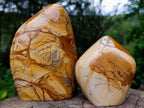 Polished Picture Stone Jasper Standing Display Pieces x 2 From Ais-Ais, Namibia - Toprock Gemstones and Minerals 
