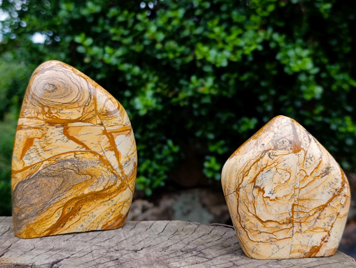 Polished Picture Stone Jasper Standing Display Pieces x 2 From Ais-Ais, Namibia - Toprock Gemstones and Minerals 