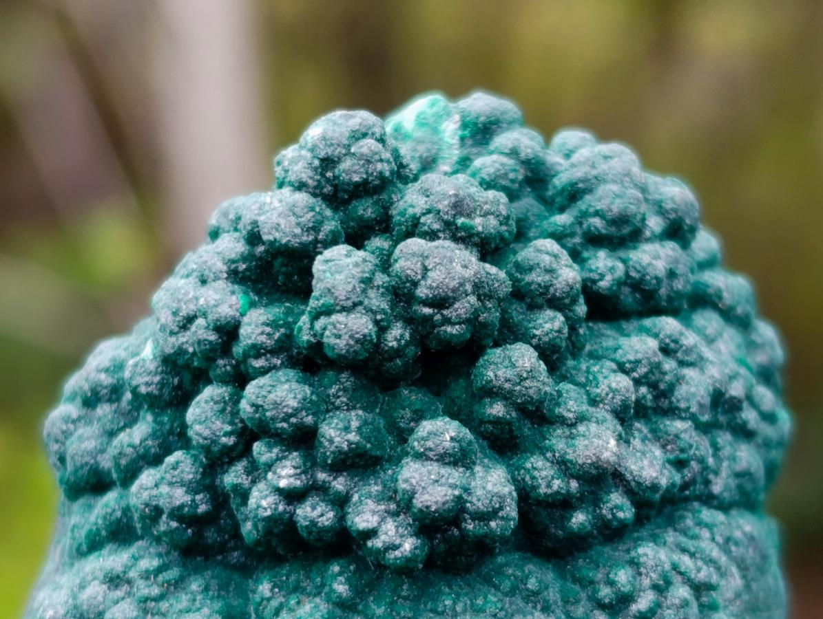 Natural Botryoidal Malachite Specimens x 6 From Congo