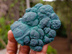 Natural Botryoidal Malachite Specimens x 6 From Congo - Toprock Gemstones and Minerals 