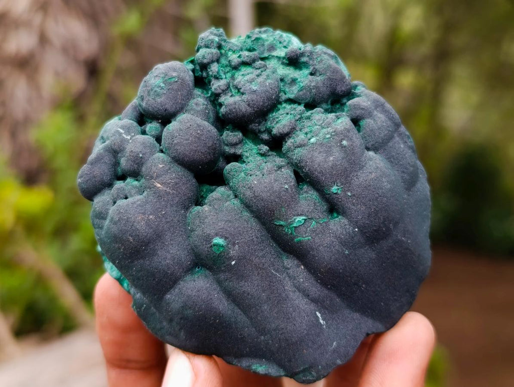 Natural Botryoidal Malachite Specimens x 6 From Congo - Toprock Gemstones and Minerals 