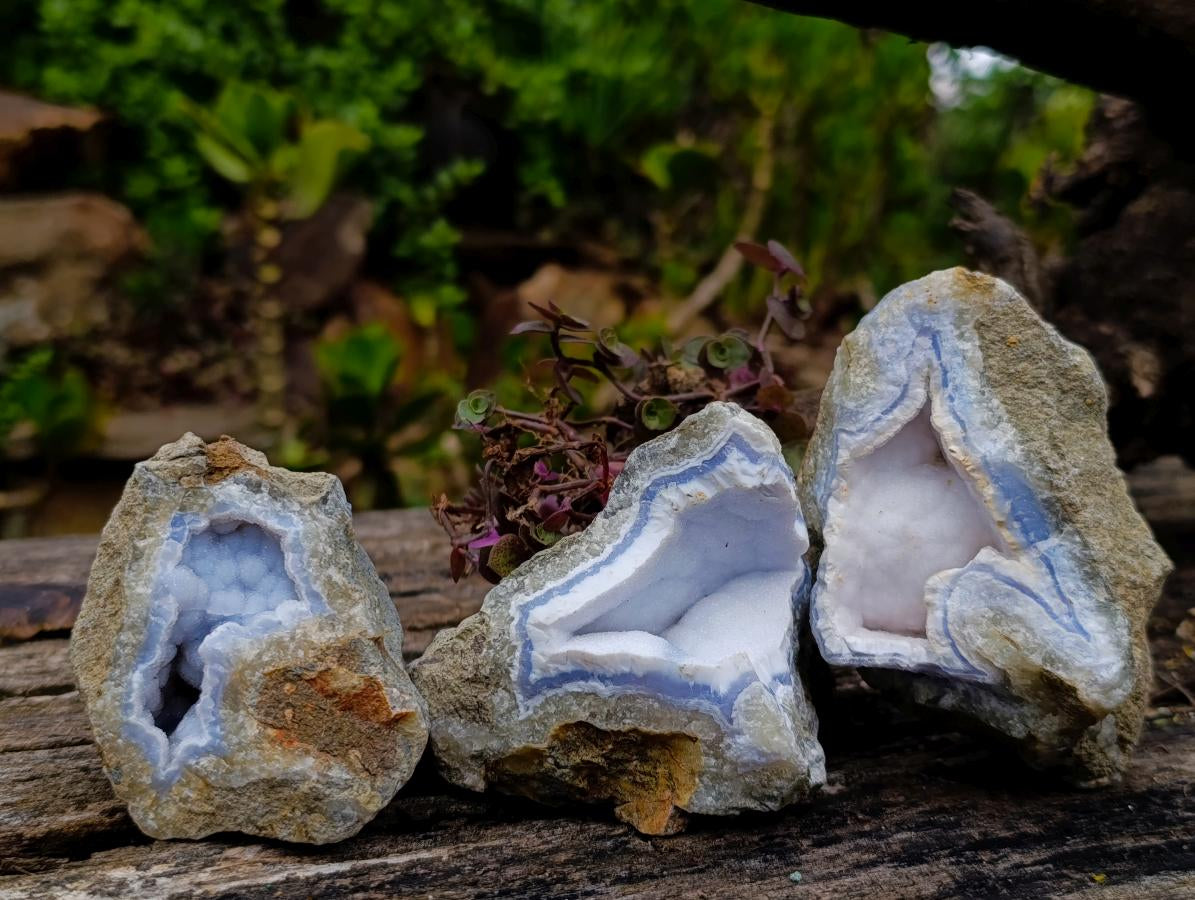 Natural Blue Lace Agate Geode Specimens x 12 From Nsanje, Malawi - Toprock Gemstones and Minerals 