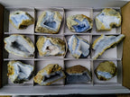 Natural Blue Lace Agate Geode Specimens x 12 From Nsanje, Malawi - Toprock Gemstones and Minerals 