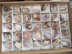 Natural Spirit Amethyst Crystals and Clusters x 35 From Boekenhouthoek, South Africa - Toprock Gemstones and Minerals 
