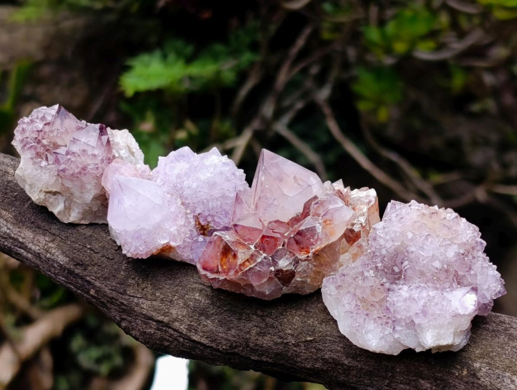 Natural Spirit Amethyst Crystals and Clusters x 35 From Boekenhouthoek, South Africa - Toprock Gemstones and Minerals 